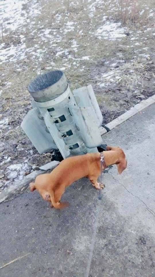 2 и у 3 or Me att у чай “8 и a 7 iis a