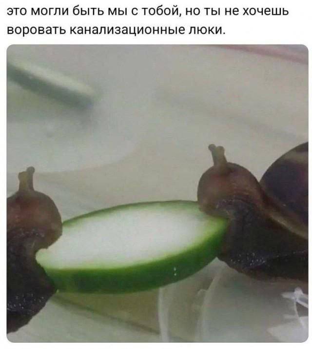 это могли быть мы с тобой, но ты не хочешь воровать канализационные люки.