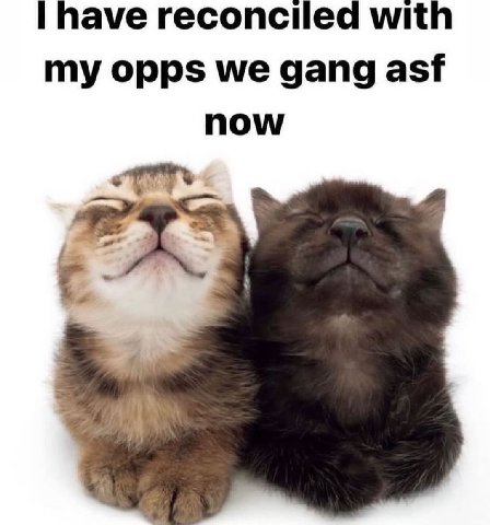 have reconciled with my opps we gang asf now