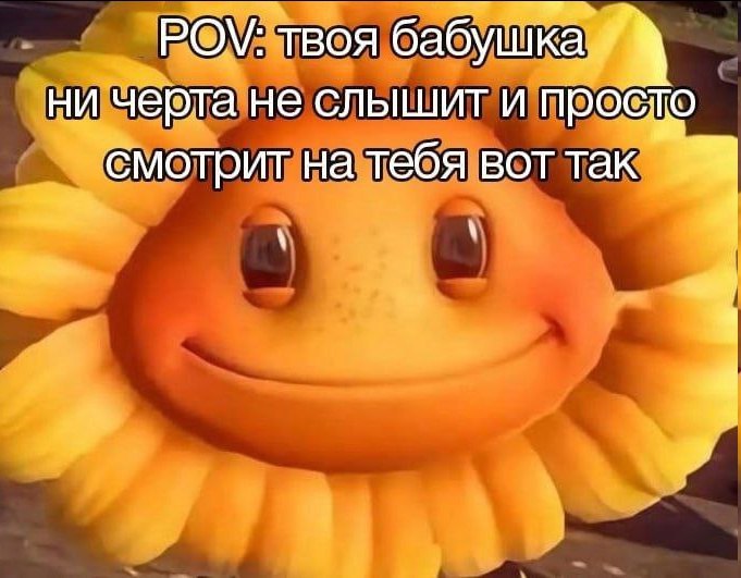 POV: твоя бабушка ни черта не слышит и просто смотрит на тебя вот так