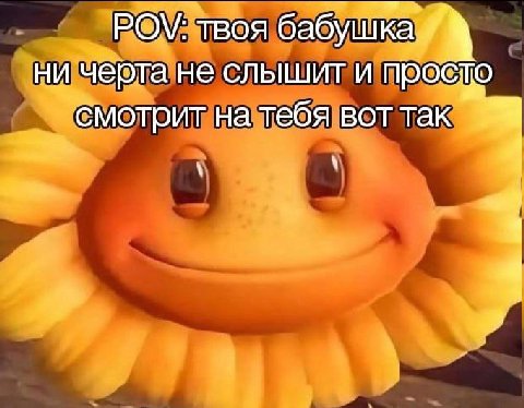 POV: твоя бабушка ни черта не слышит и просто смотрит на тебя вот так