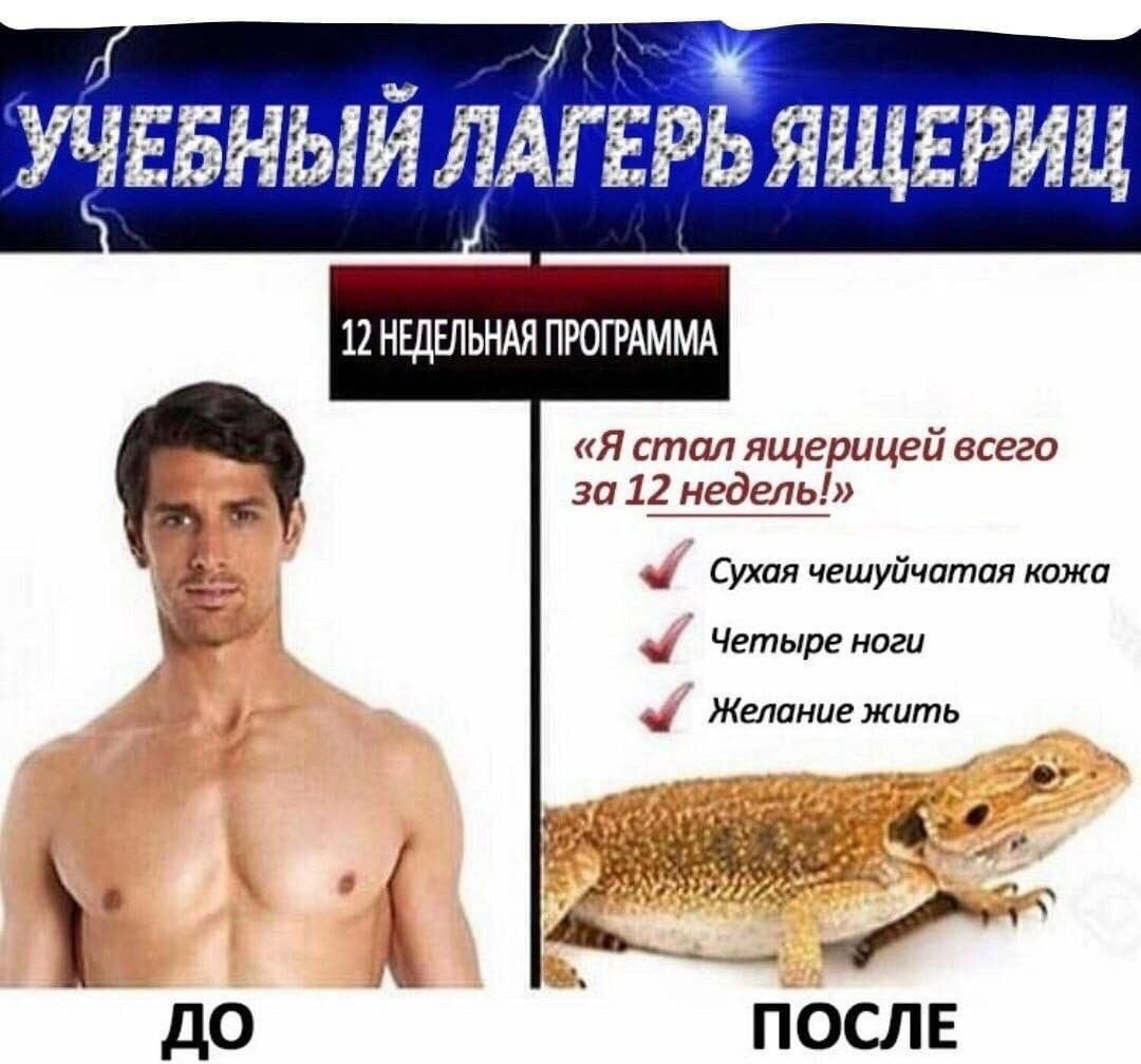 УЧЕБНЫЙ ЛАГЕРЬ ЯЩЕРИЦ 12 НЕДЕЛЬНАЯ ПРОГРАММА «Я стал ящерицей всего за 12 недель!» Сухая чешуйчатая кожа Четыре ноги Желание жить ПОСЛЕ