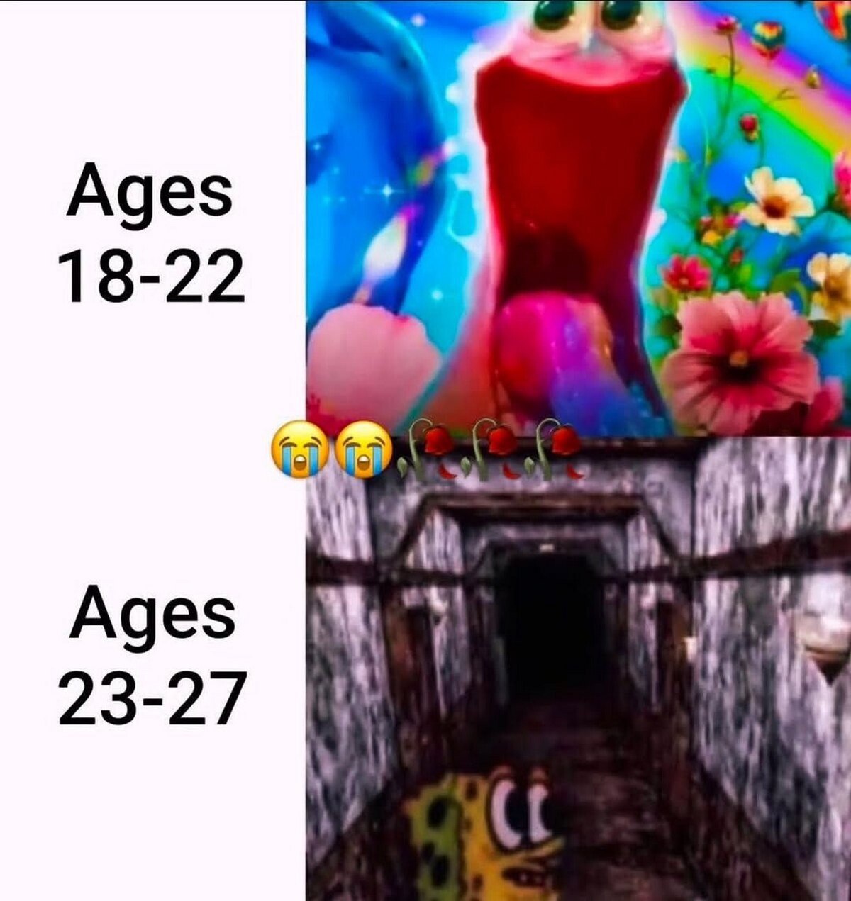 Ages 18-22 Ages 23-27
