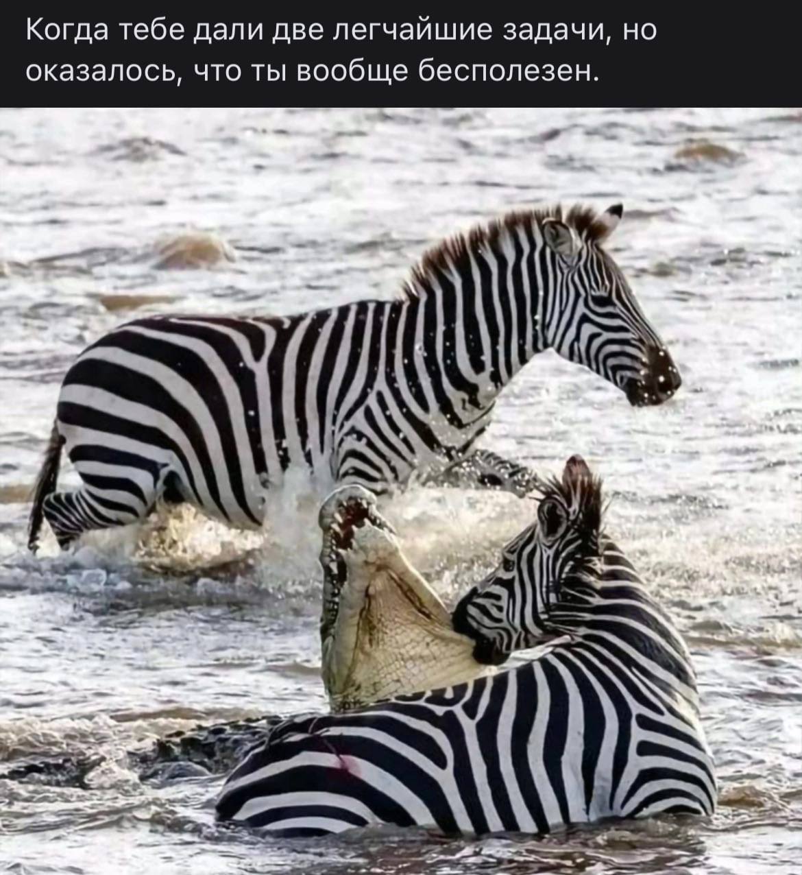 🤔