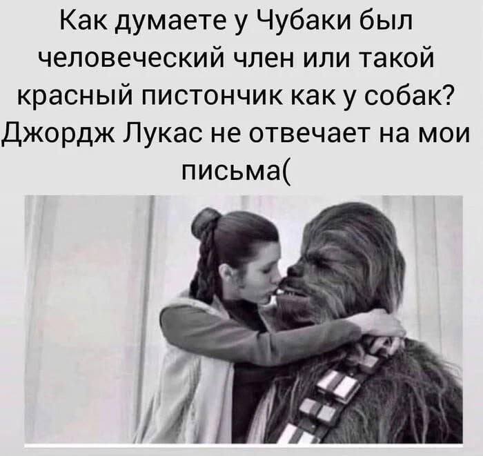 Как думаете у Чубаки был человеческий член или такой красный пистончик как у собак? Джордж Лукас не отвечает на мои письма(