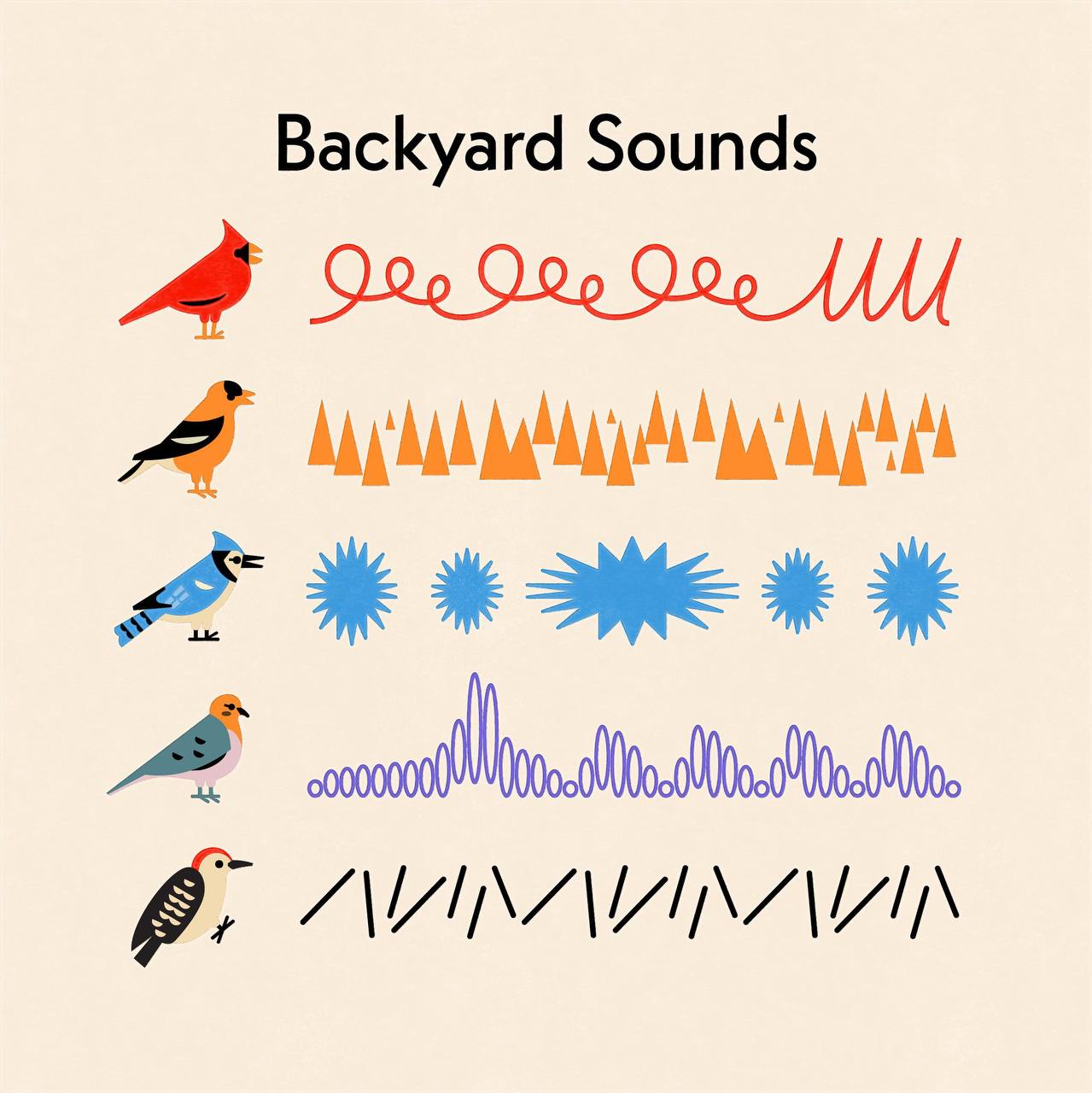 Backyard Sounds 920 920 9%