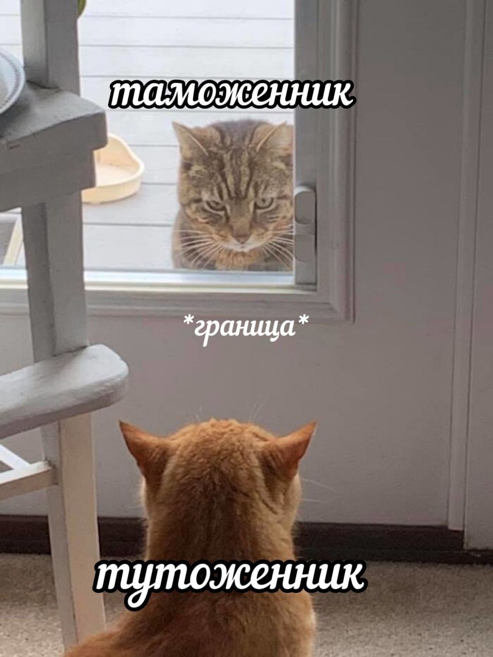 таможенник граница тутоженник