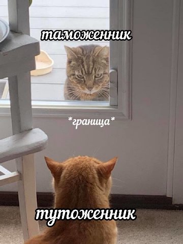 таможенник граница тутоженник