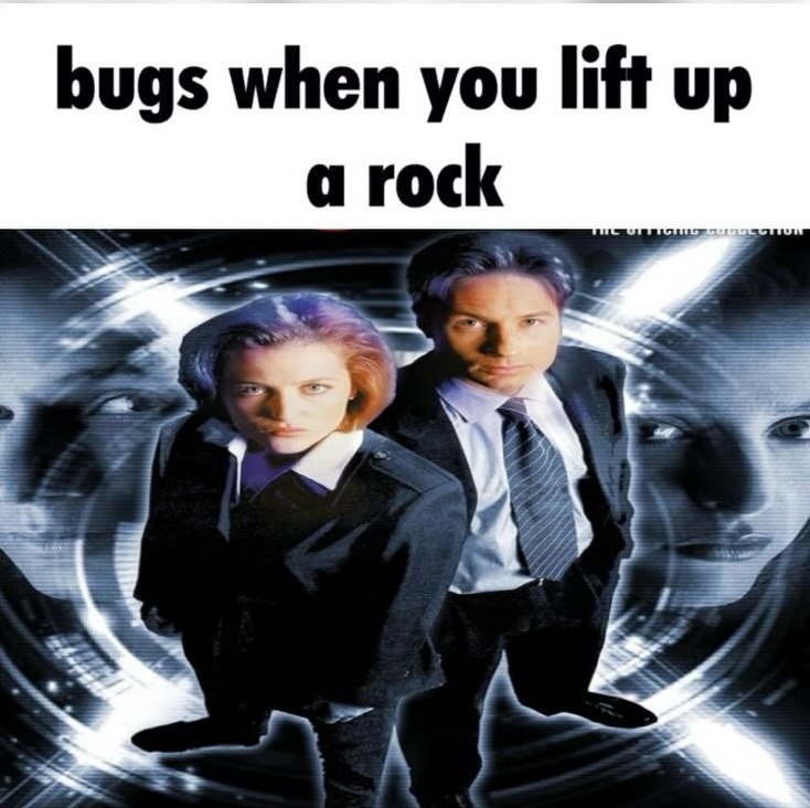 bugs when you lift up rock 4