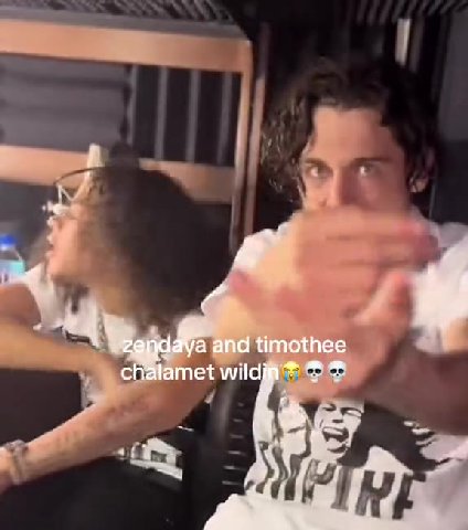 and timothee chalamet wild