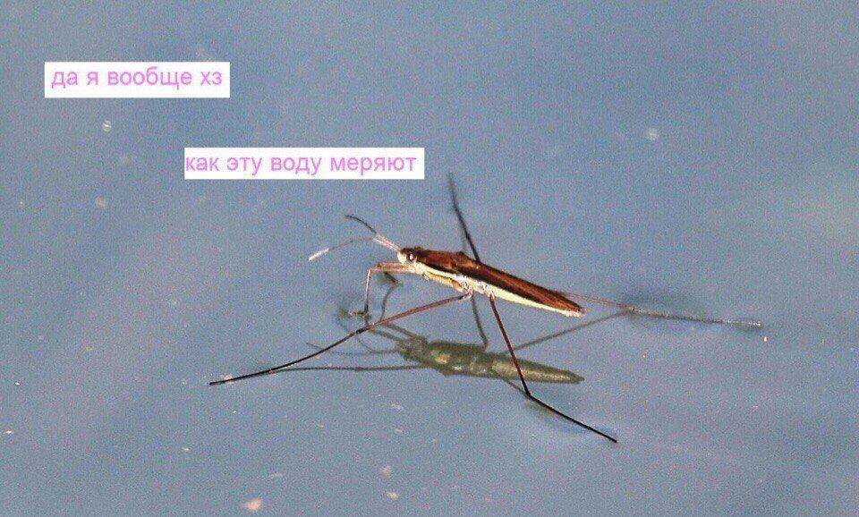 да я вообще как эту воду меряют