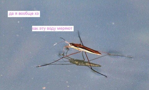 да я вообще как эту воду меряют