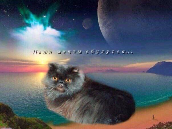 ечты