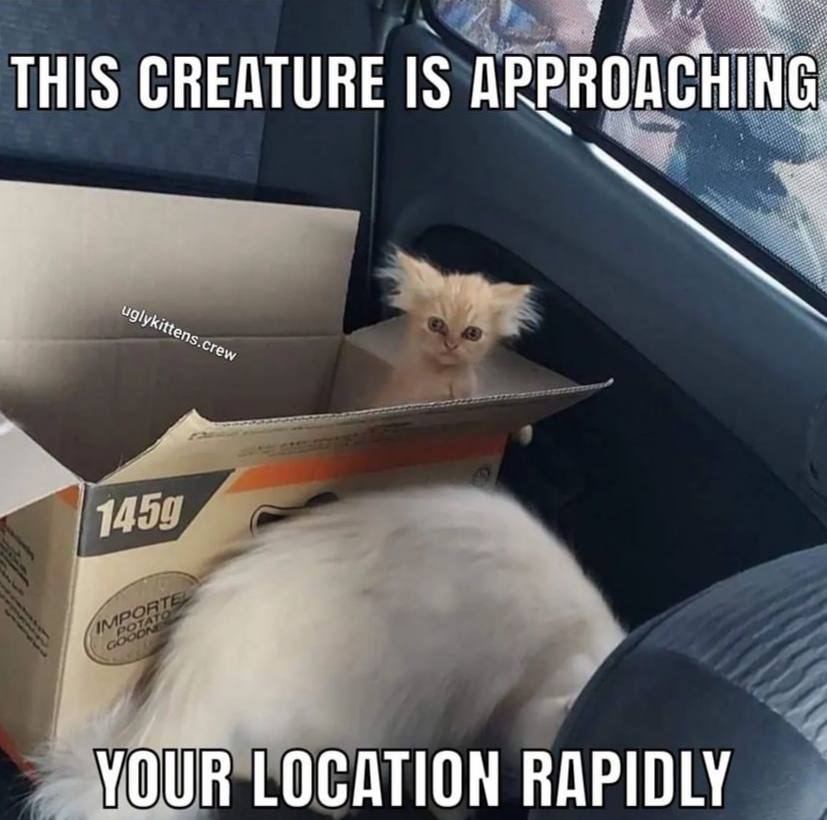 THIS CREATURE IS APPR YOUR LOCATION RAPIDLY