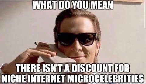 WHAT NICHE INTERNET MICROCELEBRITIES,
