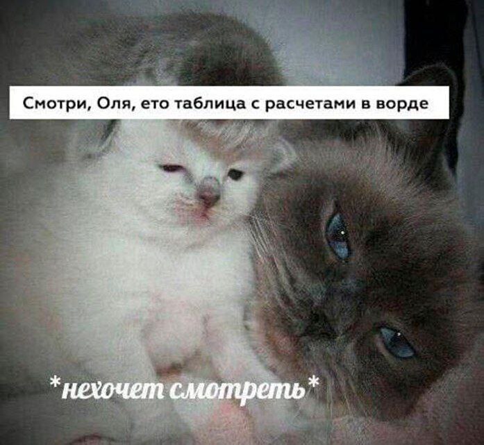 Смотри, Оля, ето таблица с расчетами в ворде *нехочет смотреть*