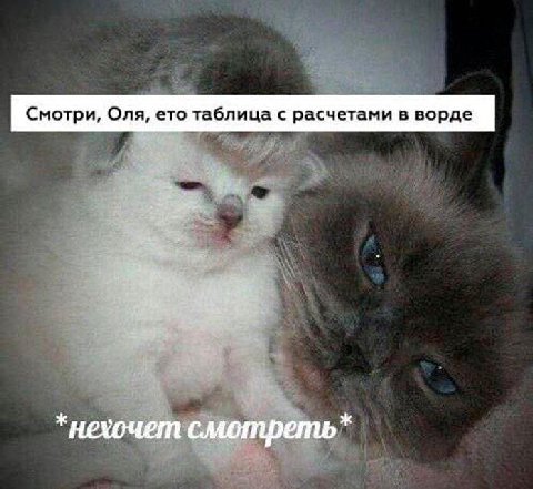 Смотри, Оля, ето таблица с расчетами в ворде *нехочет смотреть*