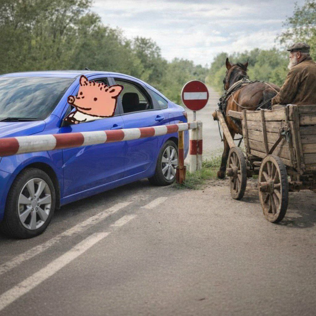 СУКА