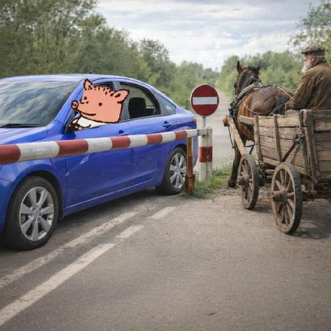 СУКА