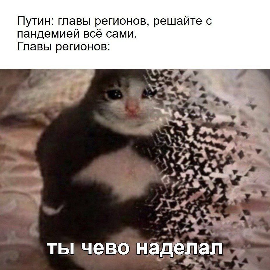 Путин: главы регионов, решайте с пандемией всё сами. Главы регионов: were me 4 А наделал