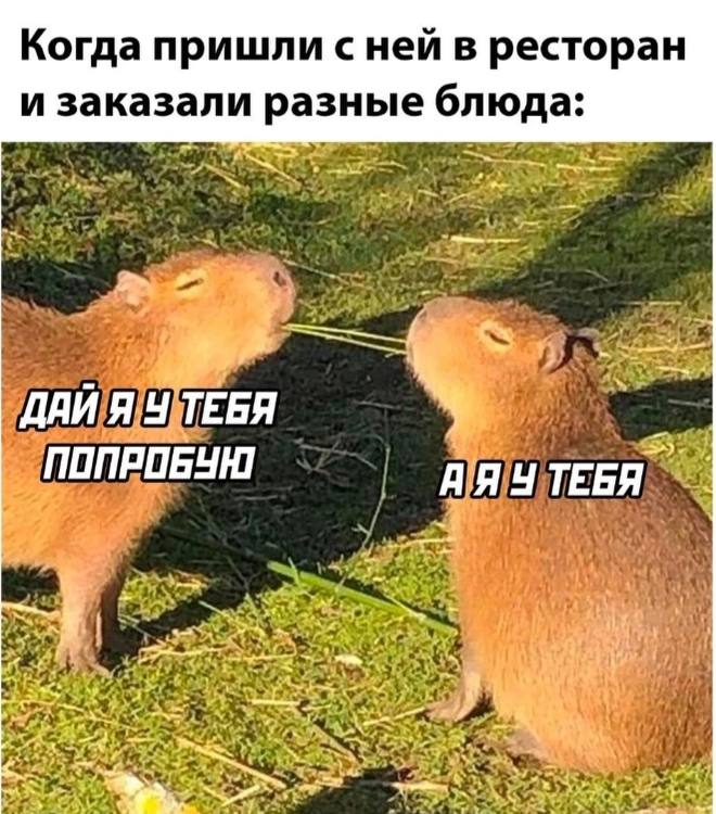 Когда пришли сней в ресторан и заказали разные блюда: 4 ДАЙ Я ТЕБЯ ПОПРОБУЮ