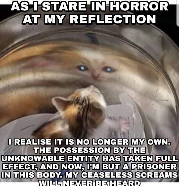 А 5 ГЭТАВЕ IN HORROR MY REFLECTION REALISE IT 1$ NO LONGER MY OWN. THE POSSESSION THE UNKNOWABLE ENTITY HAS TAKEN FULL EFFECT, AND NOW, BUT A PRISONER IN THIS BODY. MY CEASELESS SCREAMS О