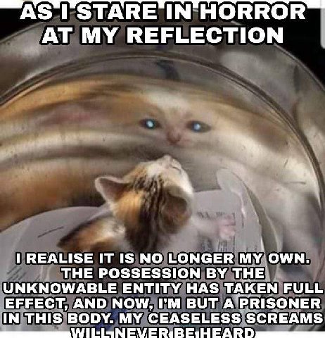 А 5 ГЭТАВЕ IN HORROR MY REFLECTION REALISE IT 1$ NO LONGER MY OWN. THE POSSESSION THE UNKNOWABLE ENTITY HAS TAKEN FULL EFFECT, AND NOW, BUT A PRISONER IN THIS BODY. MY CEASELESS SCREAMS О