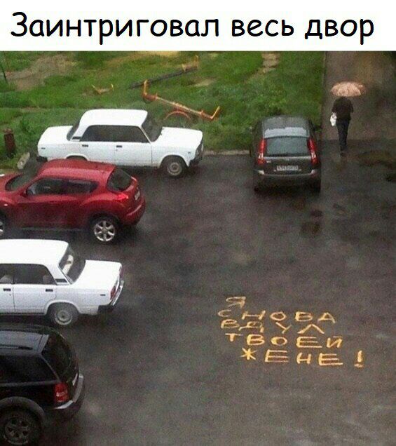 Заинтриговал весь двор {1