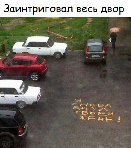 Заинтриговал весь двор {1