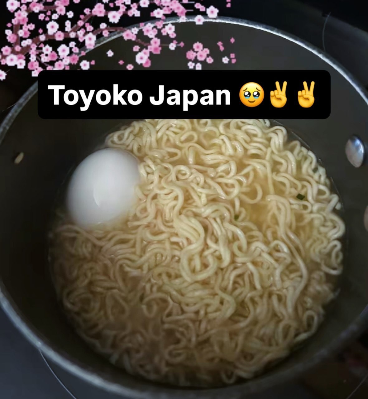 о Toyoko Japan