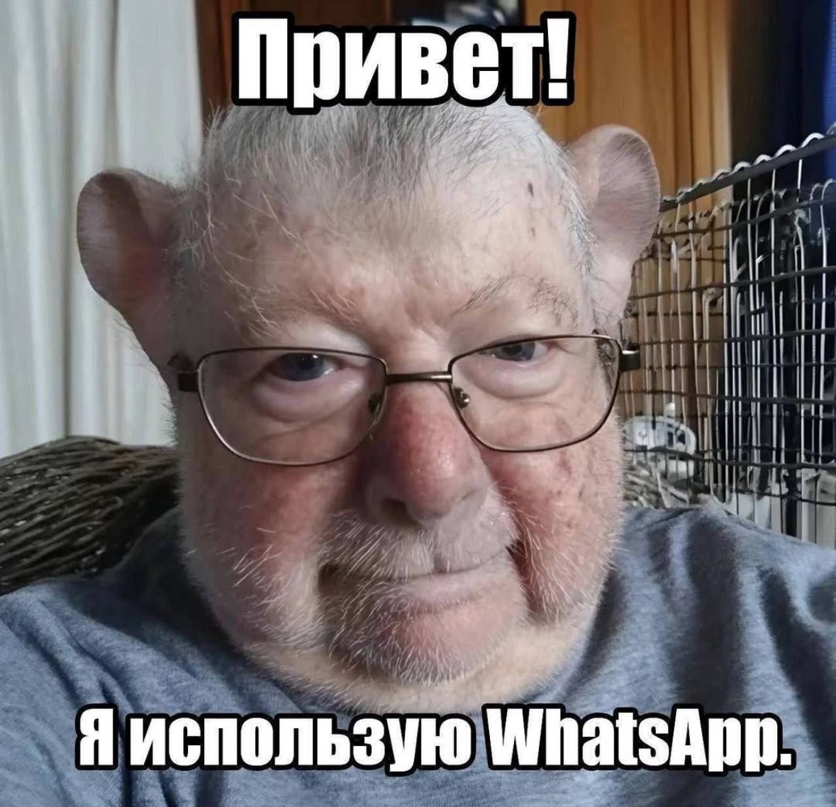Привет 4 4 1% И ima {2 Я использую WhatsApp.