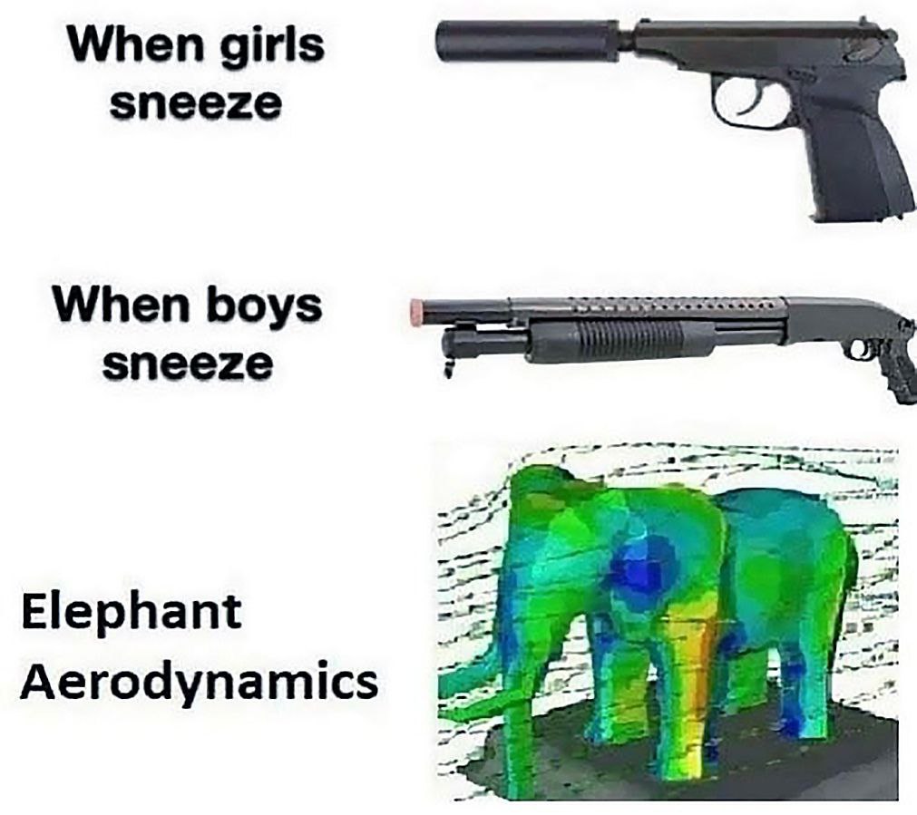 When girls sneeze When boys sneeze me #7 Elephant Aerodynamics
