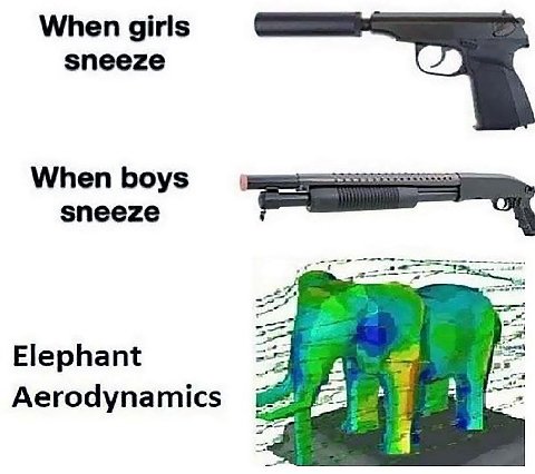 When girls sneeze When boys sneeze me #7 Elephant Aerodynamics