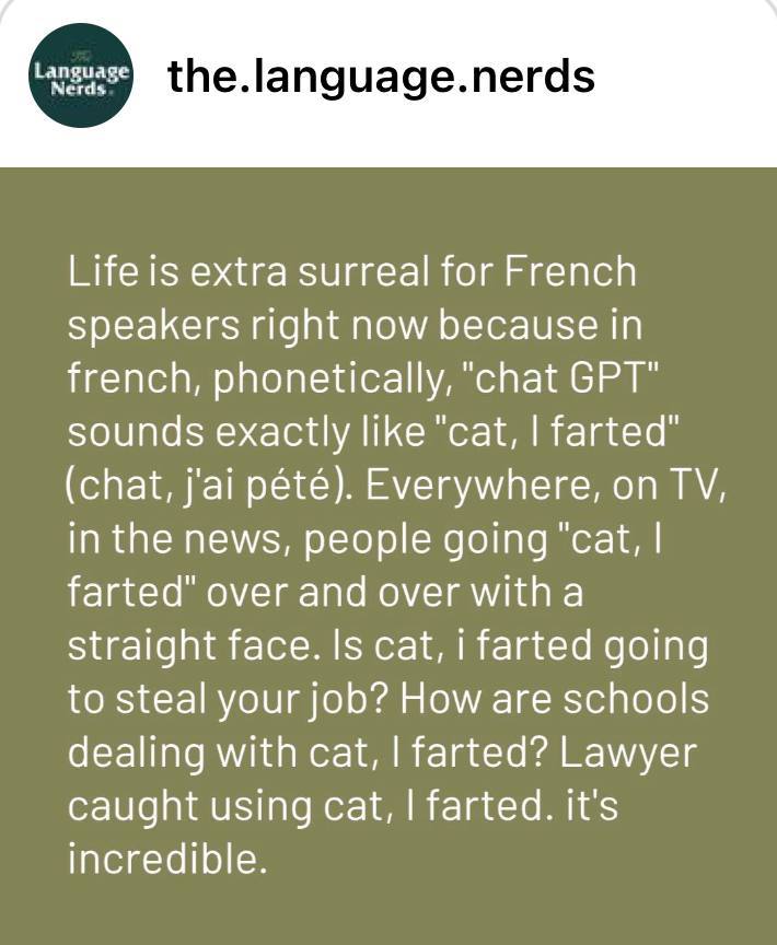 Life is extra surreal for French speakers right now because in french, phonetically, "chat GPT" sounds exactly like "cat, farted" (chat, j'ai pété). Everywhere, on in the news, people going ‘cat, fart
