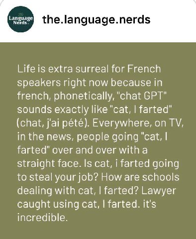 Life is extra surreal for French speakers right now because in french, phonetically, "chat GPT" sounds exactly like "cat, farted" (chat, j'ai pété). Everywhere, on in the news, people going ‘cat, fart