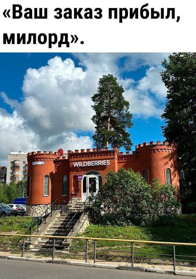 «Ваш заказ прибыл, милорд». as 4 a WILDBERRIES rsh 48 at