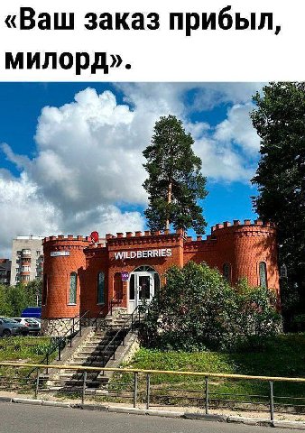 «Ваш заказ прибыл, милорд». as 4 a WILDBERRIES rsh 48 at