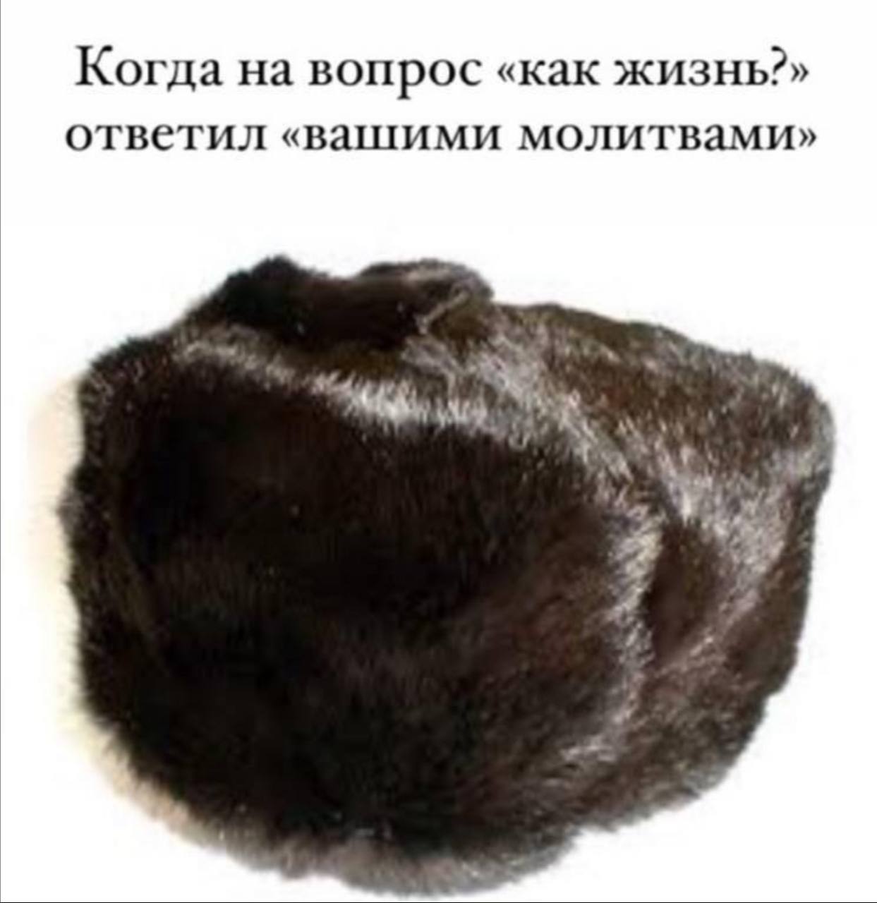 Когда на вопрос «как жизнь?» ответил «вашими молитвами» 4
