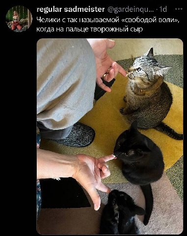 regular задте! Челики стак называемой «свободой воли», когда на пальце творожный сыр A: par: woe