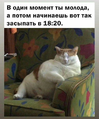 В один момент ты молода, а потом начинаешь вот так засыпать в 18:20.