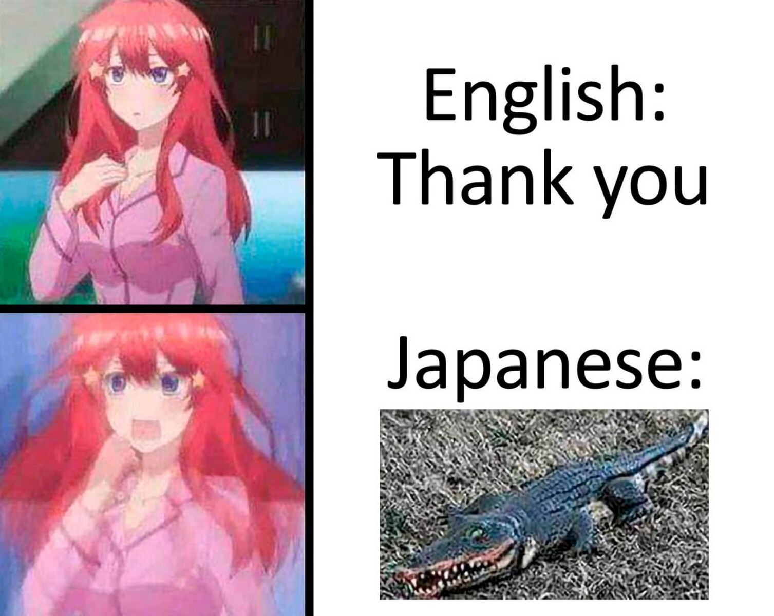 English Thank you 1 Japanese: Sak 4