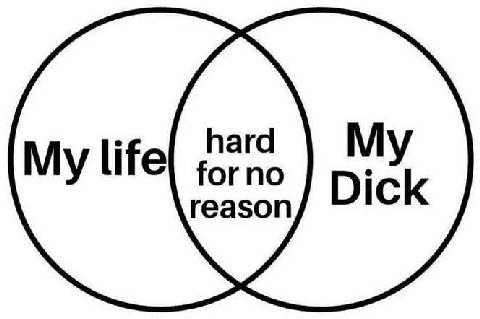 hard forno reason