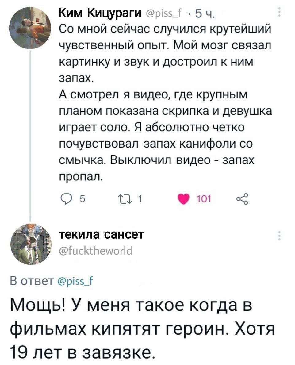 Ким Кицураги @piss_f мной сейчас случился крутейший чувственный опыт. Мой мозг связал картинку и звук и достроил к ним запах. А смотрел я видео, где крупным планом показана скрипка и девушка играет со