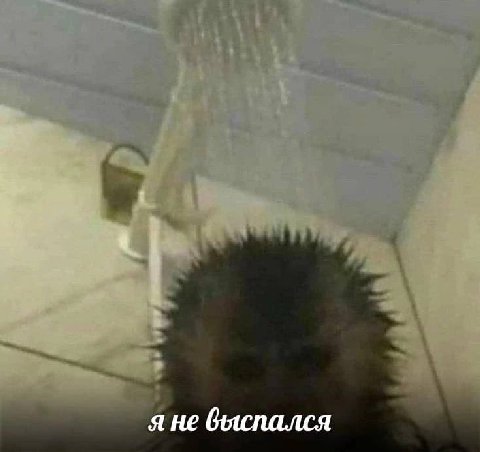 я не быспался