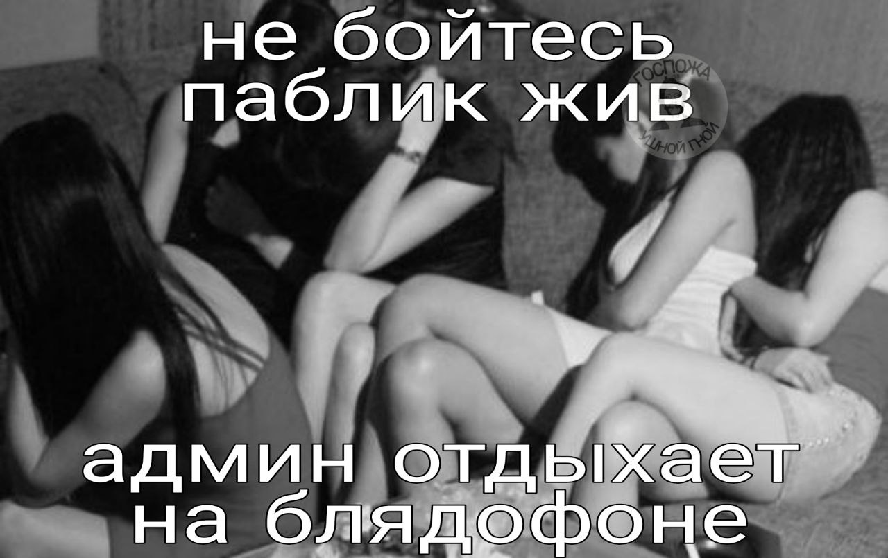 не бойтесь паблик жив админ отды на блядофоне