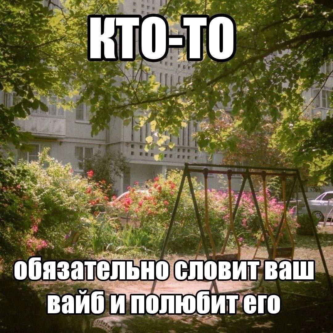KT0-T0 обязательно словит ваш вайб и полюбит его