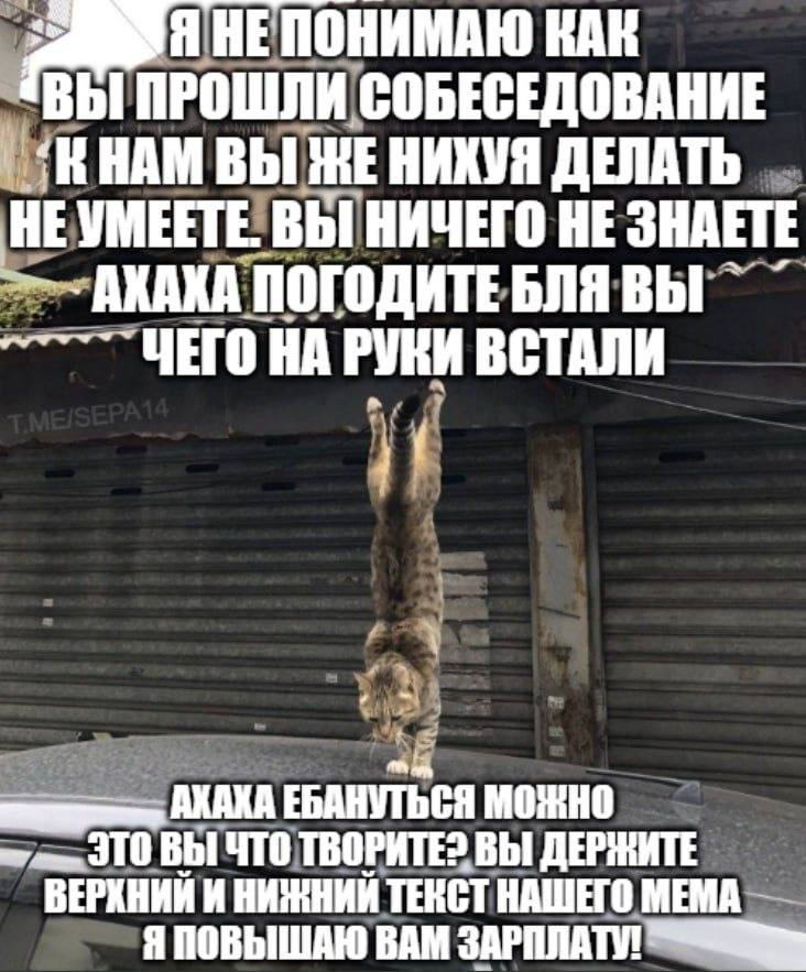 так меня и взяли