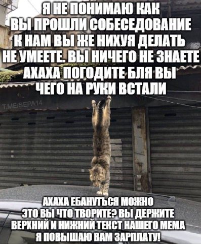 так меня и взяли