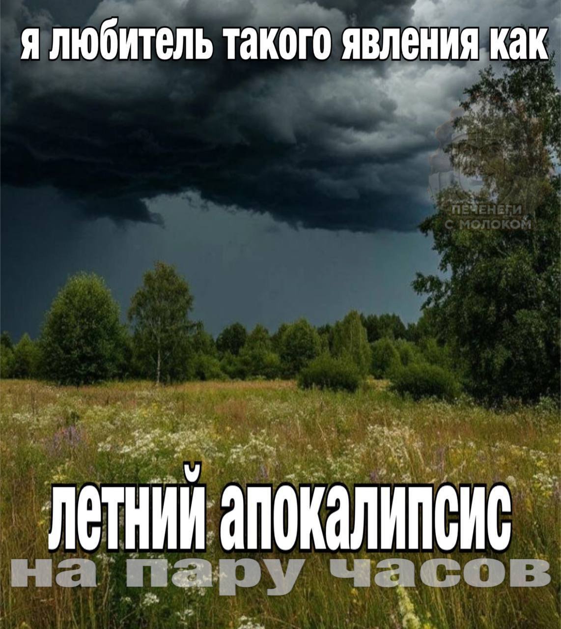 я любитель такого явления как апокалипсис