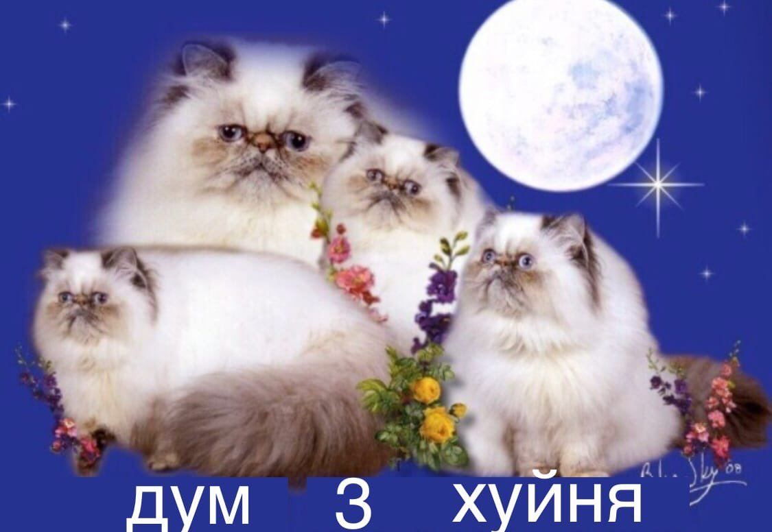 дум 3 7